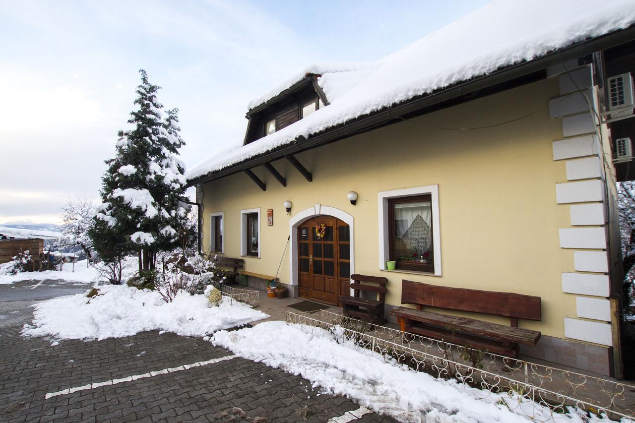 Country House Slemensek Vojnik Dış mekan fotoğraf